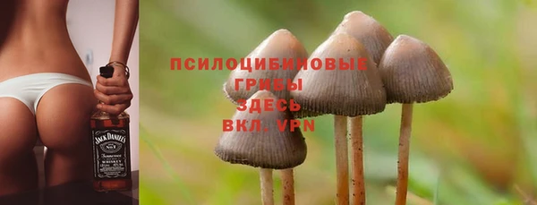 ALPHA PVP Баксан